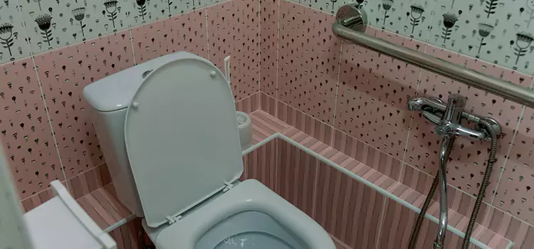 Meeting Diverse Needs With Accessible Restroom Solutions in Ewa Gentry, HI